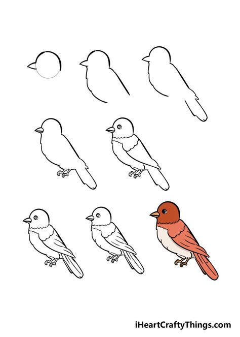 1. Begin by sketching the hummingbird's head. Use two long curved lines for the beak, allowing them to meet at a point. Draw curved lines above and below the beak to outline the head and neck. Draw a curved line down the center of the beak to separate the upper and lower portions, then contour the base of the beak with curved lines.